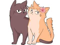 케마이사 이것저것