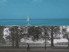 블루 히아신스 13.