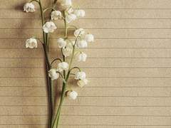 …이번엔 안 늦었죠?