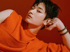 거북이는 의외로 빨리 헤엄친다