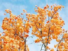 배구공과 대가리