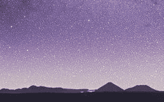 기약없을 기대.