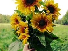 저는 오늘 죽으려합니다.03