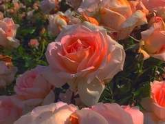 플러팅에도 용기가 필요해