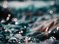 [캣버그]사실 알고 있었잖아