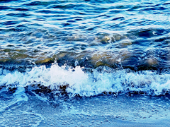 취준생과 깡패: 편상욱의 이야기