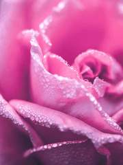 [그림][커미션 모음]