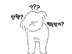 4. 산책은 너무 무서워!