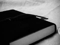 그 동물원의 수인들은