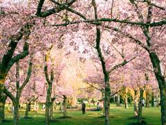 봄이 보고 싶어.