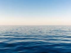 [백업 10] ... 편지가 늦었나?