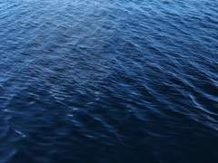 [백업 11] 네 이야기가 듣고 싶어.