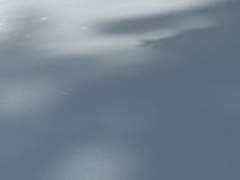 열린 더쥔 닫힘