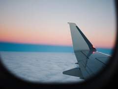 북극여우 관찰일기 01