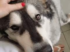 그냥 견습생 경수 같아서