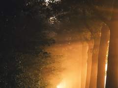 [배니싱][케이의신] 필요충분조건