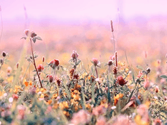 2020 트위터 뜰팁 썰, 드랍글, n행시 백업