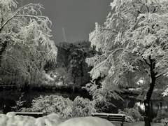 [DC×메이플] Bishop