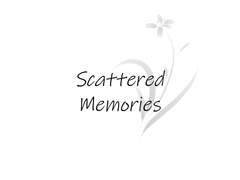 Scattered Memories