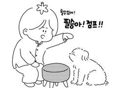 15. 장필승! 어질리티 도전!