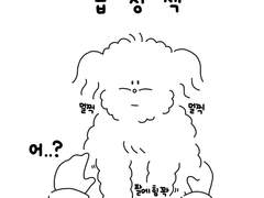 16. 머리 만지는건 싫어!