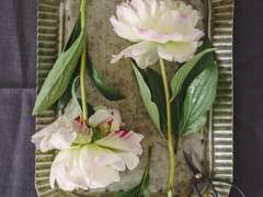 [스나오사] 뱀처럼 느리고 토끼처럼 빠른 上