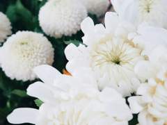 (켄히나) 저는 오늘 죽으려합니다. 04 (2편)