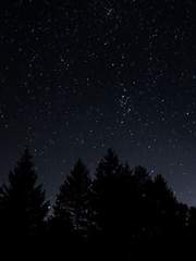 [전독시 x 내스급]