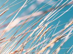 [히지오키] 깨달음