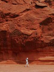 그들은 불을 향해 간다