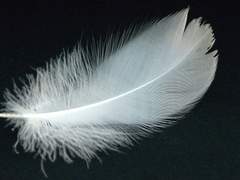 [이치사마] Fallen