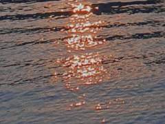 연어와 바닷바람