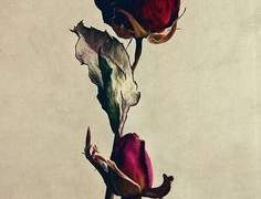 [분노/유마나오토] 마른 기억의 뿌리