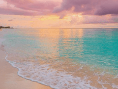 같은 시작점에서 나아갈 수 있기에.