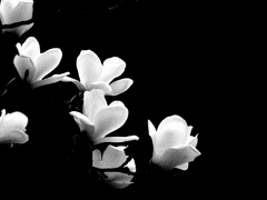 같이 믿어보자.