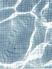 우리가 사랑하는 동안에