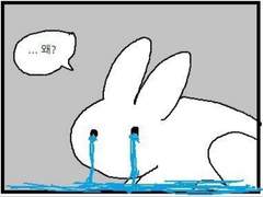 [플레이 노트] C7 G23 템페스트 (1)