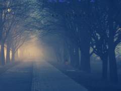 [귀멸의 칼날] RE. 귀도