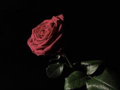 [NCT Dream] 그녀가 죽었다 3