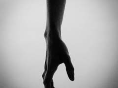 그 동물원의 사육사는