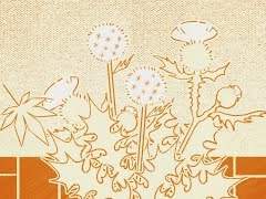 [시] 그들은 그렇게 외롭다