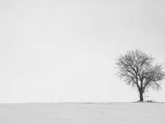 [델민준(민준델)] 그 시간 속의 우리는