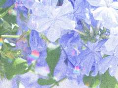 [타로미무] 청회색 히어로