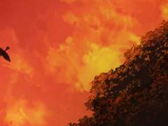 부인, 다만 나 없는 날에