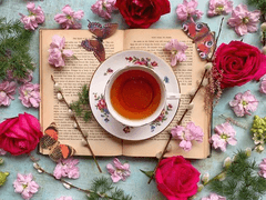 [제로피리] 동충하초(冬蟲夏草)