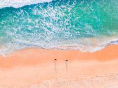 1. 고등학생 여섯 명 중 두 명이 알고 보니 인어라는 소식입니다만?!