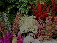 004. 가까운 거리