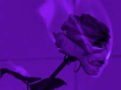 [옷토게] 이울다 2