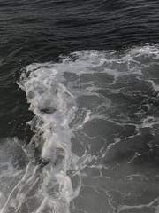 이 소설의 마지막 그 끝엔,