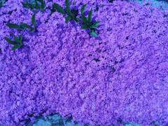 언제나 온화하고,